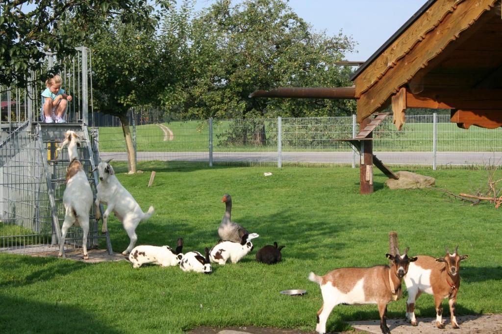 Wimmerhof Höslwang Exteriér fotografie